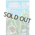 送料無料　[とうがらし]　辛コレ　インドジン・ウソツカナイ　20粒　トキタ種苗(株)