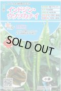送料無料　[とうがらし]　辛コレ　インドジン・ウソツカナイ　20粒　トキタ種苗(株)