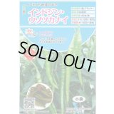 送料無料　[とうがらし]　辛コレ　インドジン・ウソツカナイ　20粒　トキタ種苗(株)
