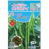 [とうがらし]　辛コレ　インドジン・ウソツカナイ　20粒　トキタ種苗