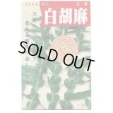 送料無料　[胡麻]　白胡麻　5ml(およそ1500粒)
