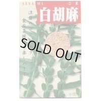送料無料　[胡麻]　白胡麻　5ml(およそ1500粒)