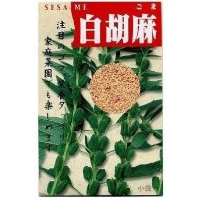 画像1: 送料無料　[胡麻]　白胡麻　5ml(およそ1500粒)