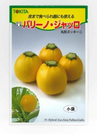 [ズッキーニ]　パリーノシリーズ　10粒　ジャッロ　トキタ種苗（株）