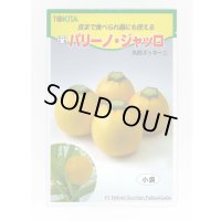 送料無料　[ズッキーニ]　パリーノシリーズ　10粒　ジャッロ　トキタ種苗(株)