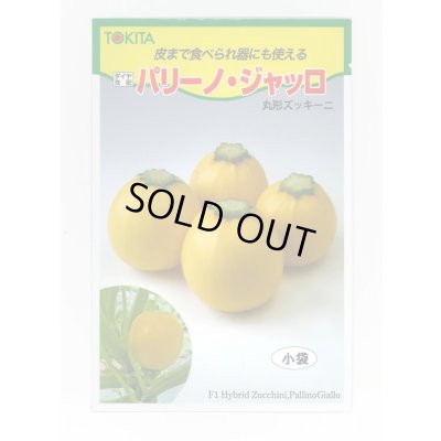 画像1: 送料無料　[ズッキーニ]　パリーノシリーズ　10粒　ジャッロ　トキタ種苗(株)