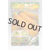 送料無料　[ズッキーニ]　ゼルダ・ジャッロ　100粒　トキタ種苗(株)