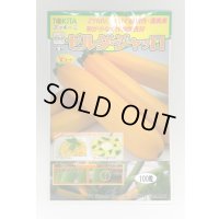 送料無料　[ズッキーニ]　ゼルダ・ジャッロ　100粒　トキタ種苗(株)