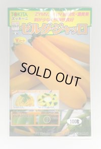 送料無料　[ズッキーニ]　ゼルダ・ジャッロ　100粒　トキタ種苗(株)