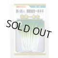 送料無料　[ねぎ]　羽緑一本太葱(コートしてません)5ml(およそ1,000粒）　(株)トーホク