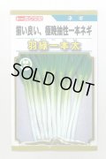 送料無料　[ねぎ]　羽緑一本太葱(コートしてません)5ml(およそ1,000粒）　(株)トーホク