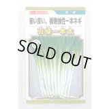 送料無料　[ねぎ]　羽緑一本太葱(コートしてません)5ml(およそ1,000粒）　(株)トーホク