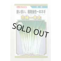 送料無料　[ねぎ]　羽緑一本太葱(コートしてません)5ml(およそ1,000粒）　(株)トーホク