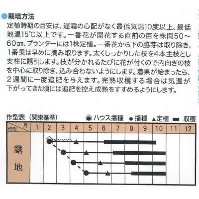 画像2: [とうがらし]　辛コレ　インドジン・ウソツカナイ　20粒　トキタ種苗（株）