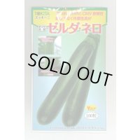 送料無料　[ズッキーニ]　ゼルダ・ネロ　100粒　トキタ種苗(株)