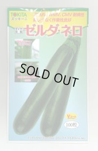 送料無料　[ズッキーニ]　ゼルダ・ネロ　100粒　トキタ種苗(株)
