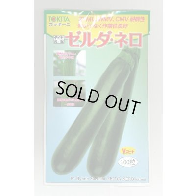 画像1: 送料無料　[ズッキーニ]　ゼルダ・ネロ　100粒　トキタ種苗(株)