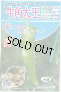 送料無料　[とうがらし]　辛コレ　牛角大王　20粒　トキタ種苗(株)