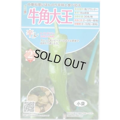 画像1: 送料無料　[とうがらし]　辛コレ　牛角大王　20粒　トキタ種苗(株)