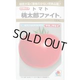 送料無料　[トマト/桃太郎系]　桃太郎ファイト　100粒　貴種(コートしてません)　タキイ種苗(株)