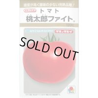 送料無料　[トマト/桃太郎系]　桃太郎ファイト　100粒　貴種(コートしてません)　タキイ種苗(株)