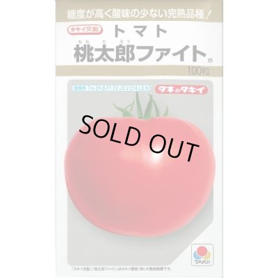 画像1: 送料無料　[トマト/桃太郎系]　桃太郎ファイト　100粒　貴種(コートしてません)　タキイ種苗(株)