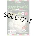 送料無料　カリフラワー　リゾットビアンコ90　50粒　トキタ種苗(株)