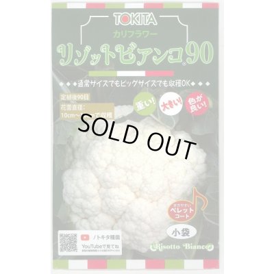 画像1: 送料無料　カリフラワー　リゾットビアンコ90　50粒　トキタ種苗(株)
