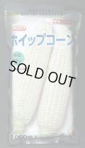 [とうもろこし]　ホイップコーン　2000粒　タキイ種苗