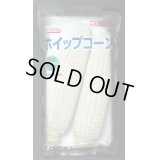 [とうもろこし]　ホイップコーン　2000粒　タキイ種苗