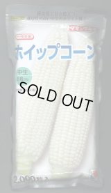 [とうもろこし]　ホイップコーン　2000粒　タキイ種苗