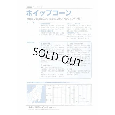 画像3: [とうもろこし]　ホイップコーン　2000粒　タキイ種苗