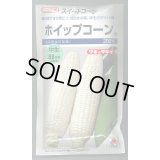 送料無料　[とうもろこし]　ホイップコーン　200粒　タキイ種苗