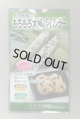 送料無料　[とうもろこし]　もちもち太郎バイカラー　1dl(約300粒)　（株）大和農園
