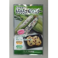 [とうもろこし]　もちもち太郎バイカラー　20ml（約70粒）　大和農園