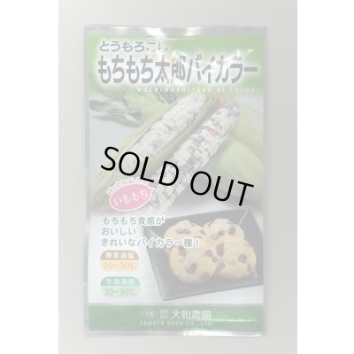 画像1: 送料無料　[とうもろこし]　もちもち太郎バイカラー　1dl(約300粒)　（株）大和農園
