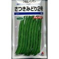 送料無料　[いんげん]　さつきみどり2号　1dl(およそ270粒)タキイ種苗