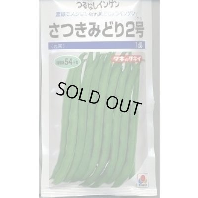 画像1: 送料無料 [いんげん] さつきみどり2号 1dl(およそ270粒)タキイ種苗