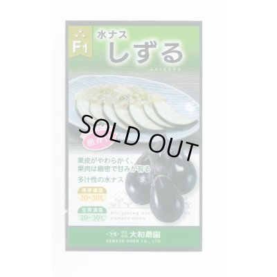 画像1: 送料無料　[なす]　しずる茄子　50粒　大和農園