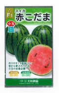 送料無料　[スイカ]　小玉スイカ　赤こだま西瓜　7粒　大和農園