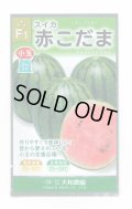 送料無料　[スイカ]　小玉スイカ　赤こだま西瓜　7粒　大和農園