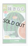 送料無料　[スイカ]　大玉スイカ　味きらら西瓜　7粒　大和農園