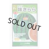 送料無料　[スイカ]　大玉スイカ　味きらら西瓜　7粒　大和農園