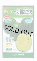 送料無料　[スイカ]　小玉スイカ　大和こだま西瓜　(黄色)　200粒　大和農園