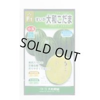 送料無料　[スイカ]　小玉スイカ　大和こだま西瓜　(黄色)　200粒　大和農園
