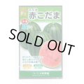 送料無料　[スイカ]　小玉スイカ　赤こだま西瓜　200粒　大和農園