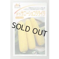 送料無料　[とうもろこし]　サニーショコラ　ライラ　200粒　みかど協和(株)