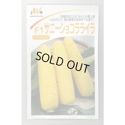 画像1: 送料無料　[とうもろこし]　サニーショコラ　ライラ　200粒　みかど協和(株)