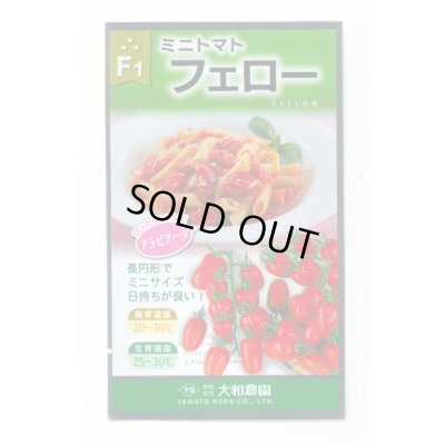 画像1: [トマト/ミニトマト]　フェロートマト　25粒　（株）大和農園
