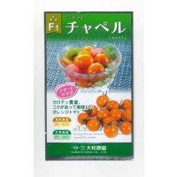 [トマト/ミニトマト]　チャペルトマト　25粒　大和農園